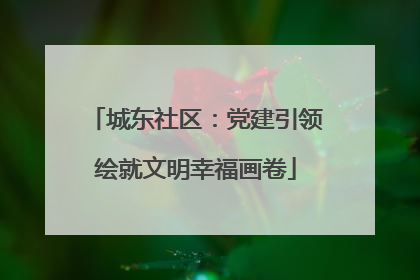 城东社区：党建引领绘就文明幸福画卷